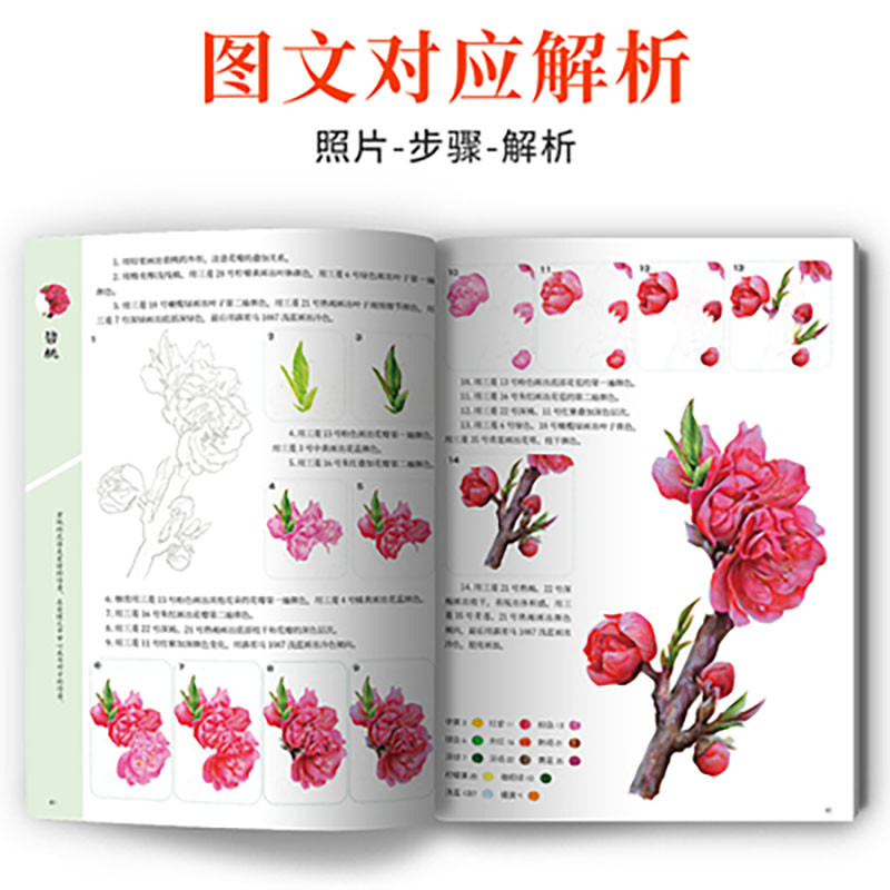 Livre de dessin de peinture sc - Food Snacks Coloring Book avis et prix