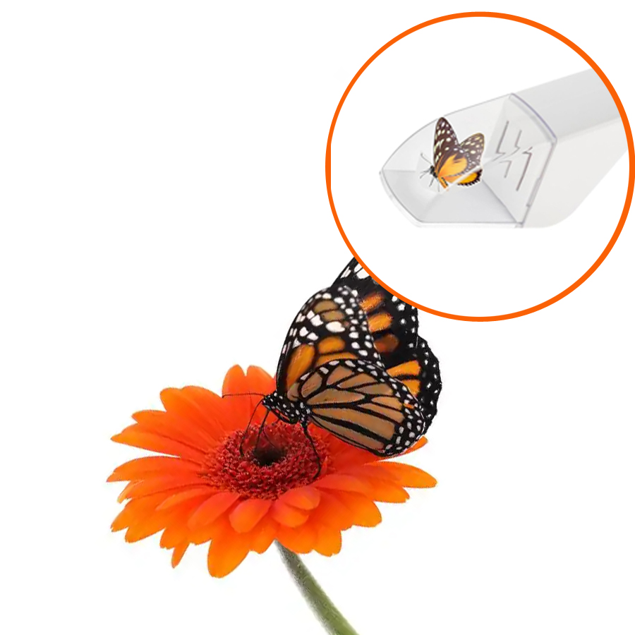Piège à mouches et insectes, a - Fruit Roll Up avis et prix