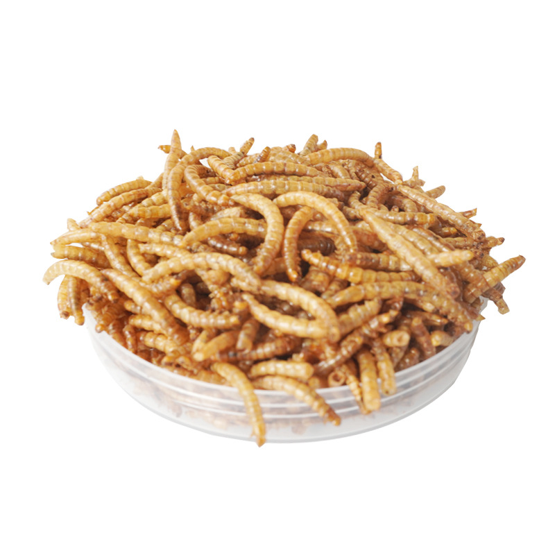 Friandises Riches en Protéines - Food Protein Snacks avis et prix