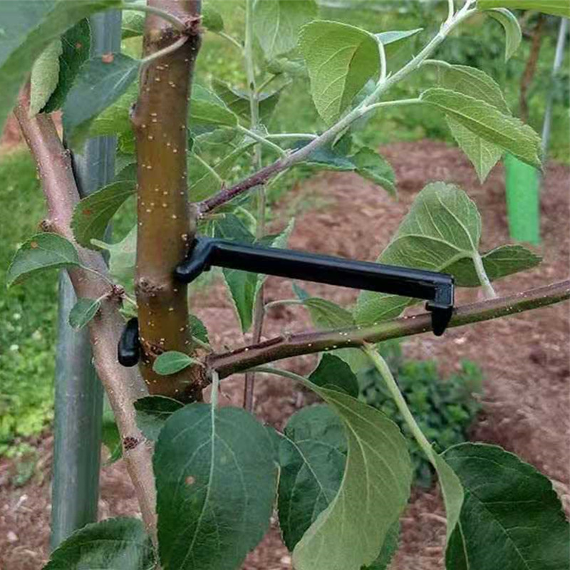 Extracteur de branches d'arbre - Fruit Roll Up avis et prix