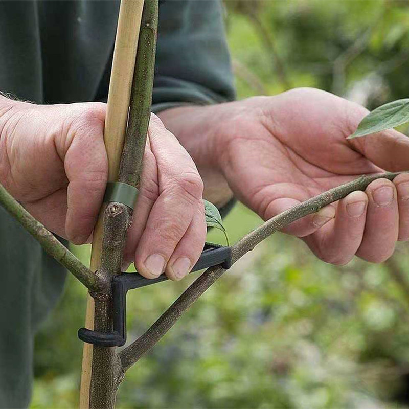 Extracteur de branches d'arbre - Fruit Roll Up avis et prix