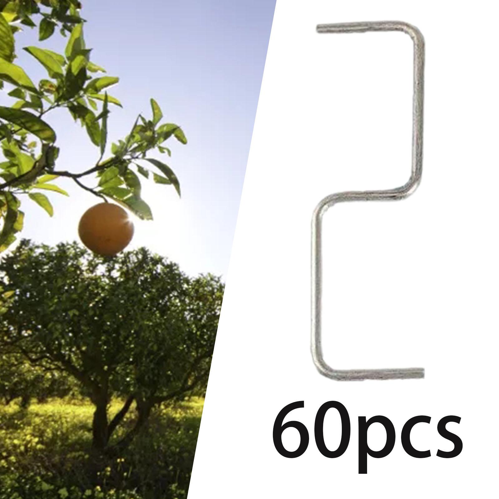 Extracteur de Branches d'Arbre - Fruit Roll Up avis et prix